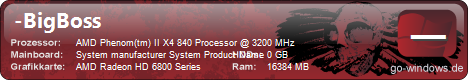 Big Boss Pc