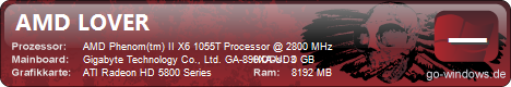 AMD LOVER
