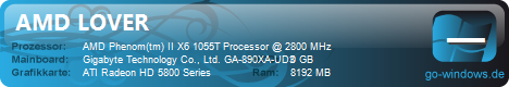 AMD LOVER