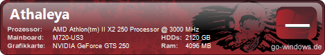 Athaleya's AION PC