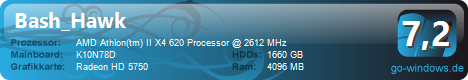 Bash_Hawk