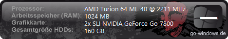 Daniel 83 laptop