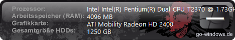 Samsung R60+