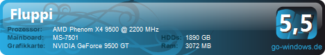 Fluppi's PC