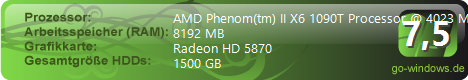 AMD Gamer