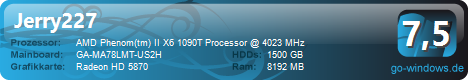 AMD Gamer