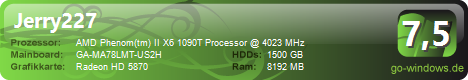 AMD Gamer