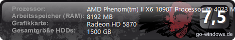 AMD Gamer