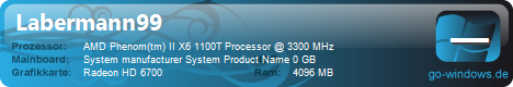 AMD Phenom II X6 1100T