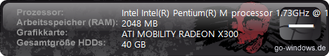 IBM Thinkpad T43