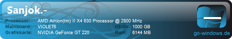 Mein Pc