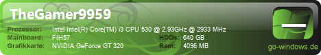 TheGamer9959PC