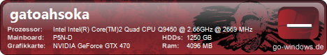 Gatoahsoka's PC