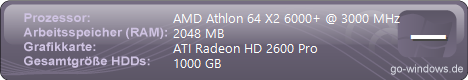 Medion Professional PC