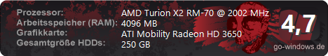 TOSHIBA Sattelite Pro P300-D 201