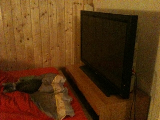 Schlafzimmer und Tevion