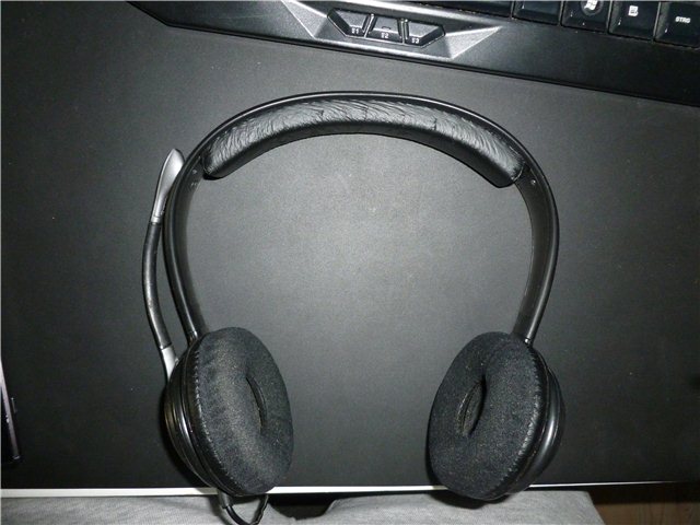 24768_33199_27925.jpg